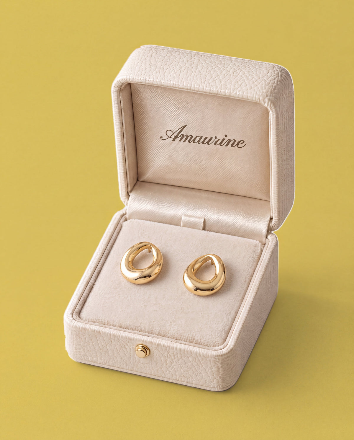 Pinceau Loop Studs — presentation box